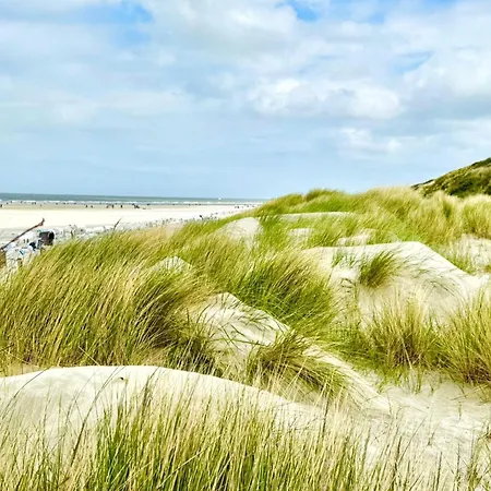 Alte Liebe - 11 アパート